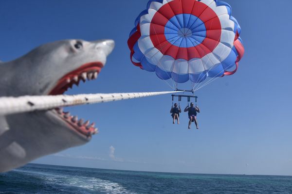 Sunset Watersports Key West by null