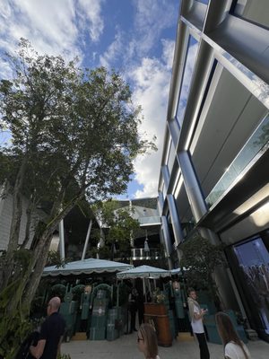 Paradise Plaza by null