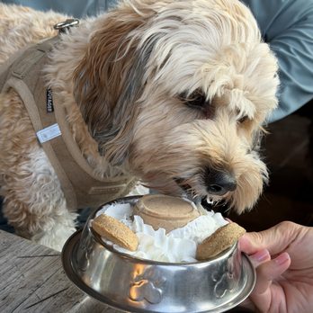 The Block Food & Drink - St. Louis Park - Homemade Pup Cream - New American Near Me - Saint Louis Park, Minnesota The Block Food & Drink - St. Louis Park - Homemade Pup Cream - New American Near Me - Saint Louis Park, Minnesota
