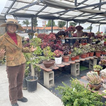 Shuna’s Succulent House - Shuna, the owner. - Nurseries & Gardening Near Me - Chino, California