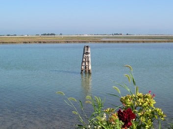 Camping Ca 'Savio by null