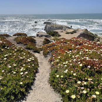 Pescadero State Beach - Beaches Near Me - Pescadero, California