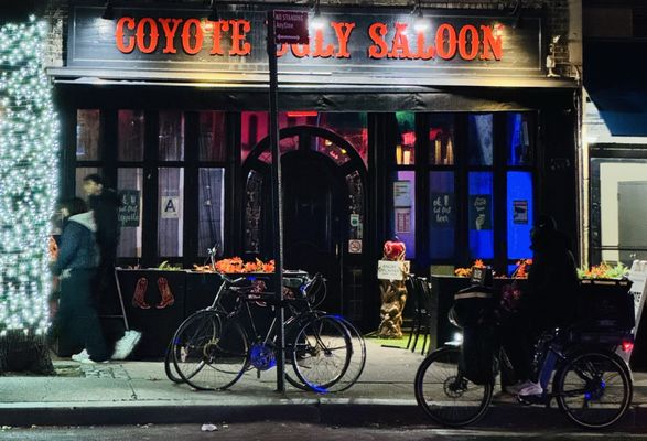 Coyote Ugly New York by null