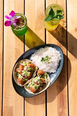 Agave Azul Winter Springs by null