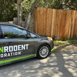 Green Rodent Restoration - Green Rodent Restoration Edison, NJ