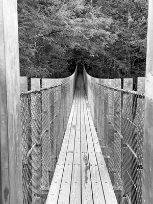 Fall Creek Falls by null