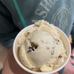 Hanover Scoops - Maple Walnut (Medium)