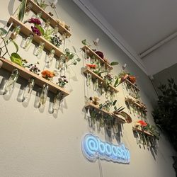 Boost IV & Wellness