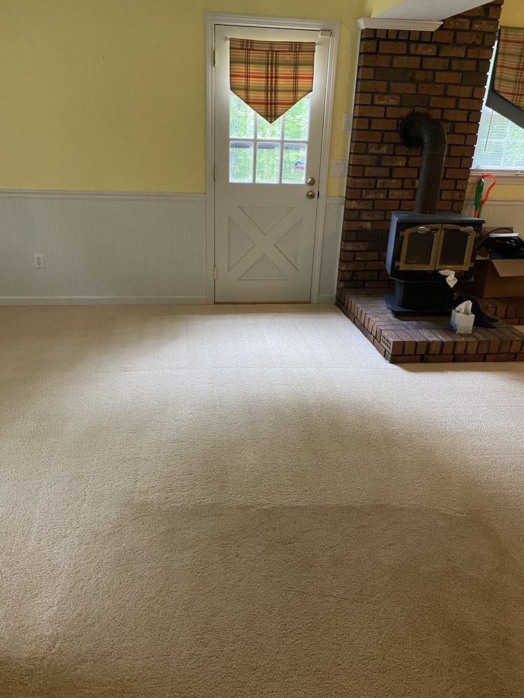 CARPET SAVERS Updated October 2024 21 Photos Lakemont,