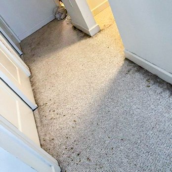 The Cleaning Company - Home Cleaning Near Me - Charlottesville, Virginia The Cleaning Company - Home Cleaning Near Me - Charlottesville, Virginia
