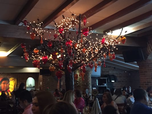 La Tequila Cocina de México Av México by null