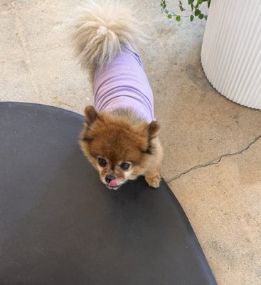 Da Carla Ristorante Italiano & Caffe' by null