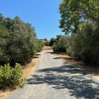 Alum Rock Park - Alum Rock Park - Parks Near Me - San Jose, California