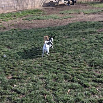 Forrest E Hull Park - Dog Parks Near Me - Lancaster, California Forrest E Hull Park - Dog Parks Near Me - Lancaster, California