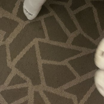 DoubleTree by Hilton Hotel Annapolis - Dirty carpet - Hotels Near Me - Annapolis, Maryland DoubleTree by Hilton Hotel Annapolis - Dirty carpet - Hotels Near Me - Annapolis, Maryland