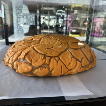 Con Azucar Cafe - Giant concha - Coffee & Tea Near Me - Fort Worth, Texas