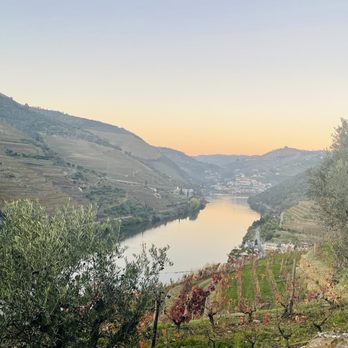 Quinta do Seixo - Wineries Near Me - Tabuaço, 18