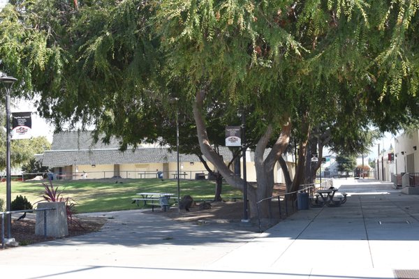 Buchser Middle School by null