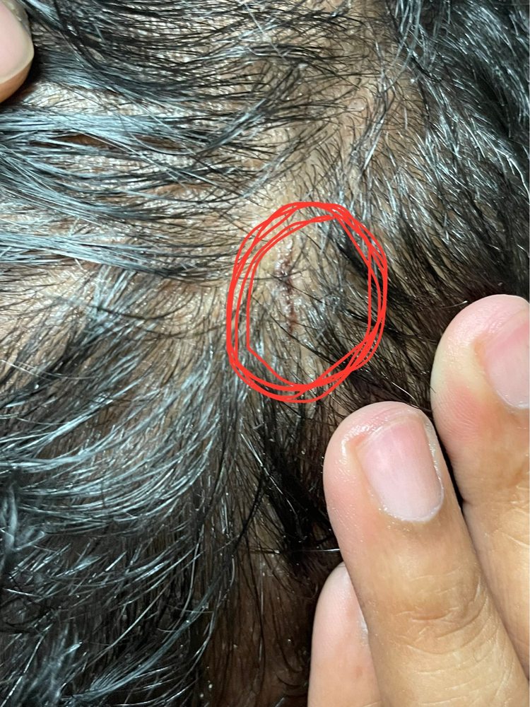 THE BARBER SHOP Updated September 2024 40 Photos & 19 Reviews