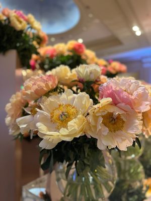 L'Orangerie by null