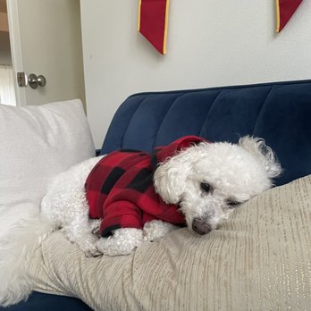 Fresh Pets And Grooming - Pet Stores Near Me - Lomita, California