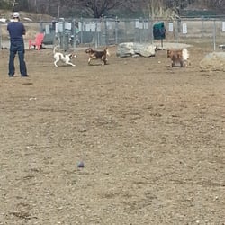 Robin's Garden & Dog Park - Playing