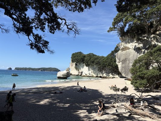 Cathedral Cove Beach by null