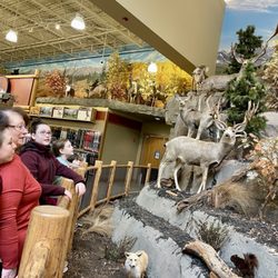 Cabela's - Observing the mounts
