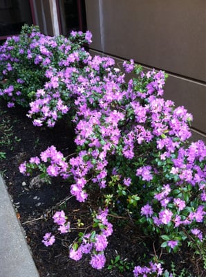 Humboldt Park Health by null