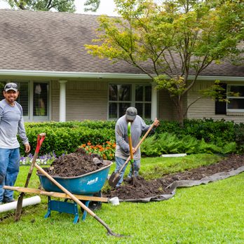 Texas Oasis - a group of men working in a yard - Landscaping Near Me - Dallas, Texas Texas Oasis - a group of men working in a yard - Landscaping Near Me - Dallas, Texas