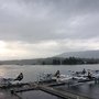Photo of Whistler Air