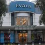 Photo of Evans