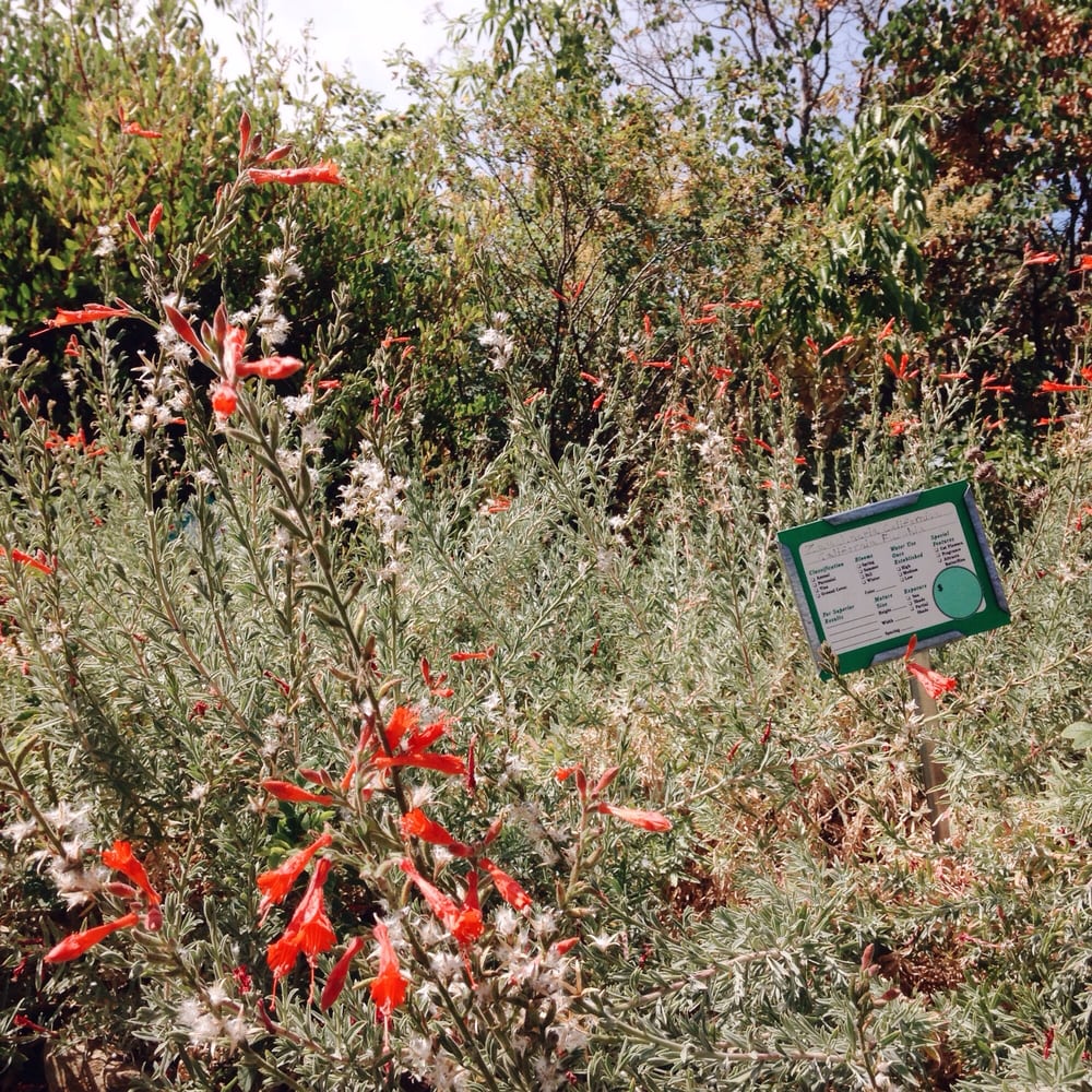 Fl Native Nursery Nurseries Gardening 14388 Meridian Fl Native Nursery Nurseries