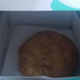 Two Chocolate Chip Cookies