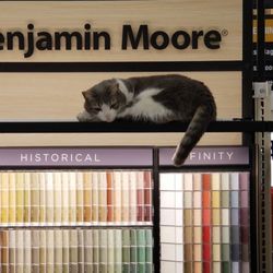Davis Ace Hardware - Expect our rescue cat, Diva to be on duty.