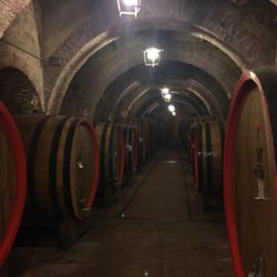 Fattoria della Talosa - Wine cellar