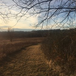 Jacob Krumm Nature Preserve - View of east loop trail (1.5 of 5.3 mi)