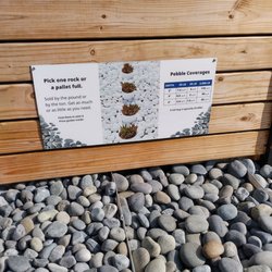 Stone Plus