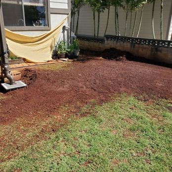 Lush Palm Landscapes - Landscaping Near Me