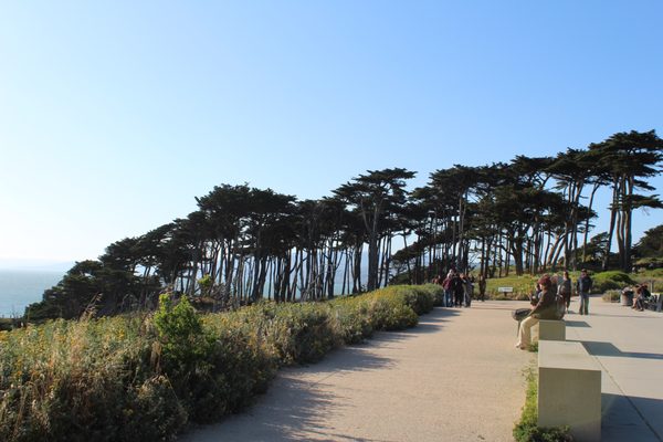 Lands End Labyrinth by null
