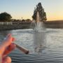 Photo of Dab City Tobacco & Vape
