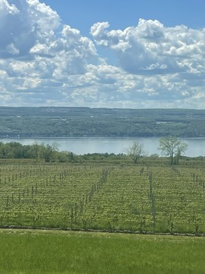 Lamoreaux Landing Wine Cellars by null