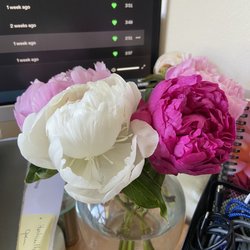 Trudy's Flowers - Peonies