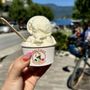 Gelato Express