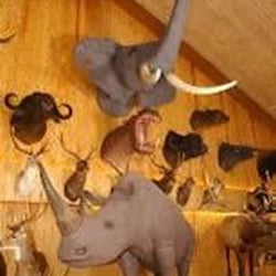 Safari Bar - Inside photo capturing the wildlife present throughout the restaurant and bar.