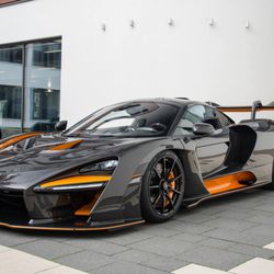 Boss Exotics