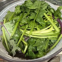 Eatwell Farm - About half the greens in the box (mizuna, spinach, chard)