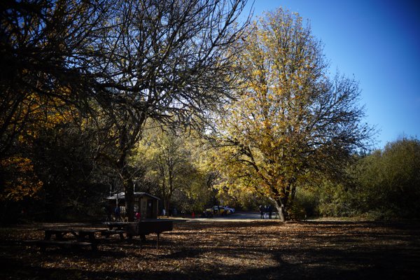 Hendy Woods State Park by null