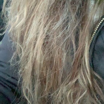 Kenna Kunijo - The damage to my hair. - Hair Stylists Near Me - Charlotte, North Carolina Kenna Kunijo - The damage to my hair. - Hair Stylists Near Me - Charlotte, North Carolina
