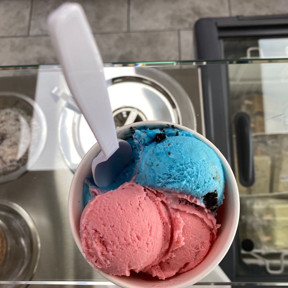 La Monarca Michoacana - a cup of ice cream - Desserts Near Me - Houston, Texas